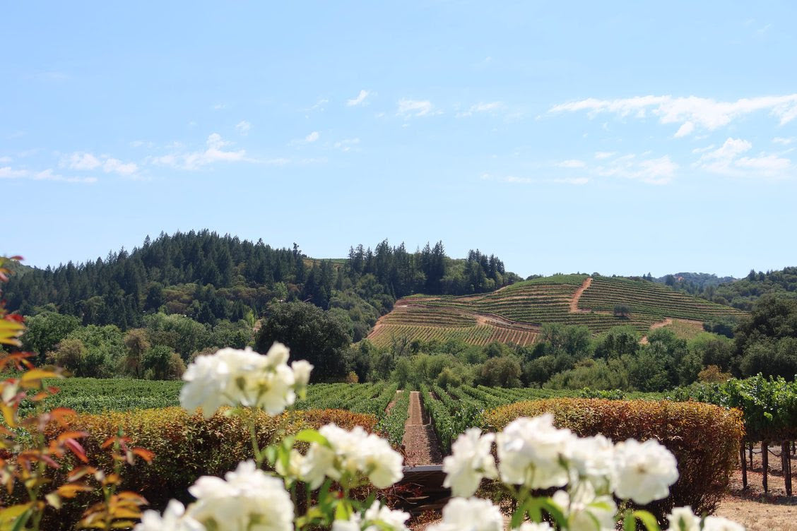 What to Wear Where: Napa Sonoma!