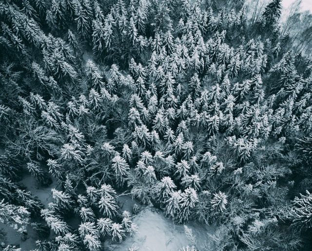 What to Wear Where: Lake Tahoe